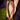 A tan leather pouch or small bag held open by a person's hand, showing a bright green splattered pattern on the inside lining. The background is blurred grass and dark clothing.